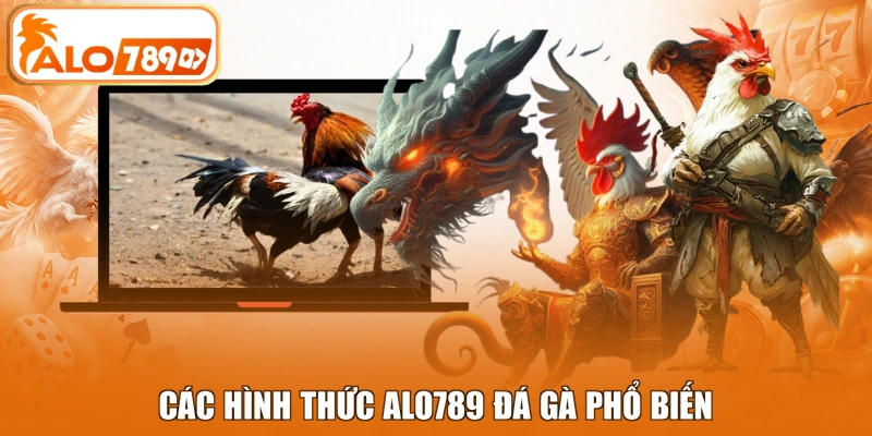 Các hình thức ALO789 Đá gà phổ biến