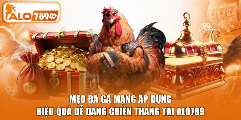 Mẹo đá gà mạng áp dụng hiệu quả dễ dàng chiến thắng tại Alo789