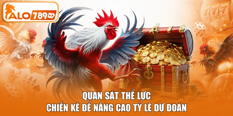 Quan sát thể lực chiến kê để nâng cao tỷ lệ dự đoán