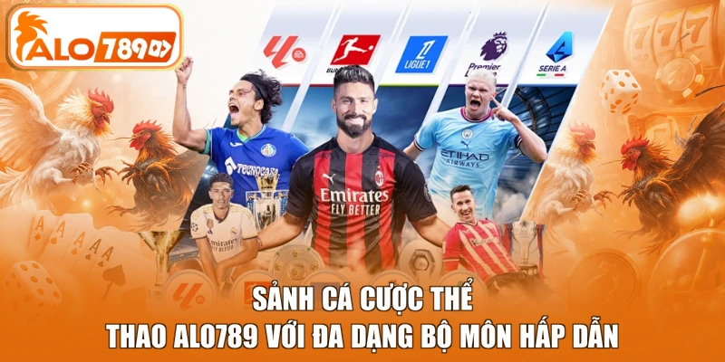 Sảnh cá cược thể thao ALO789 với đa dạng bộ môn hấp dẫn